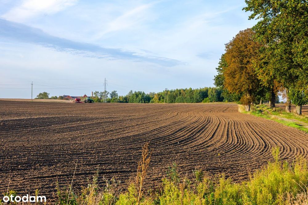 Działka z potencjałem – Sławno | Bobrowiczki