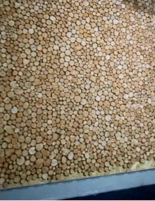 Ялівець, спили, панно