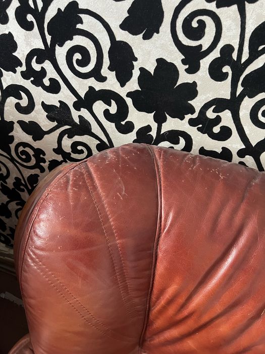 крісла  зі шкіри