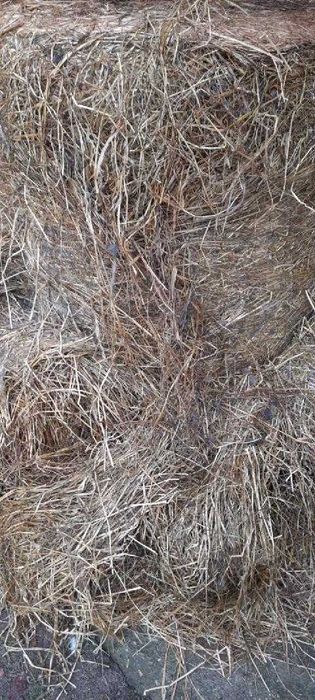 Sianokiszonk bele 130