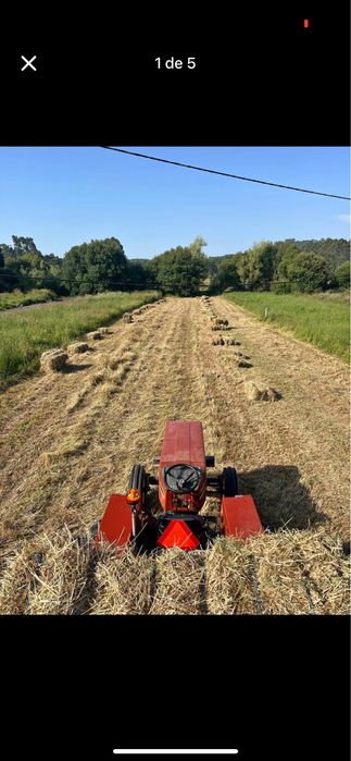 Feno ou palha nascediço