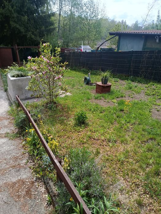 Sprzedam ogródek działkowy