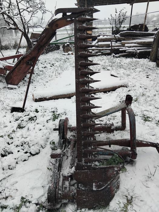 Косалка сегментна