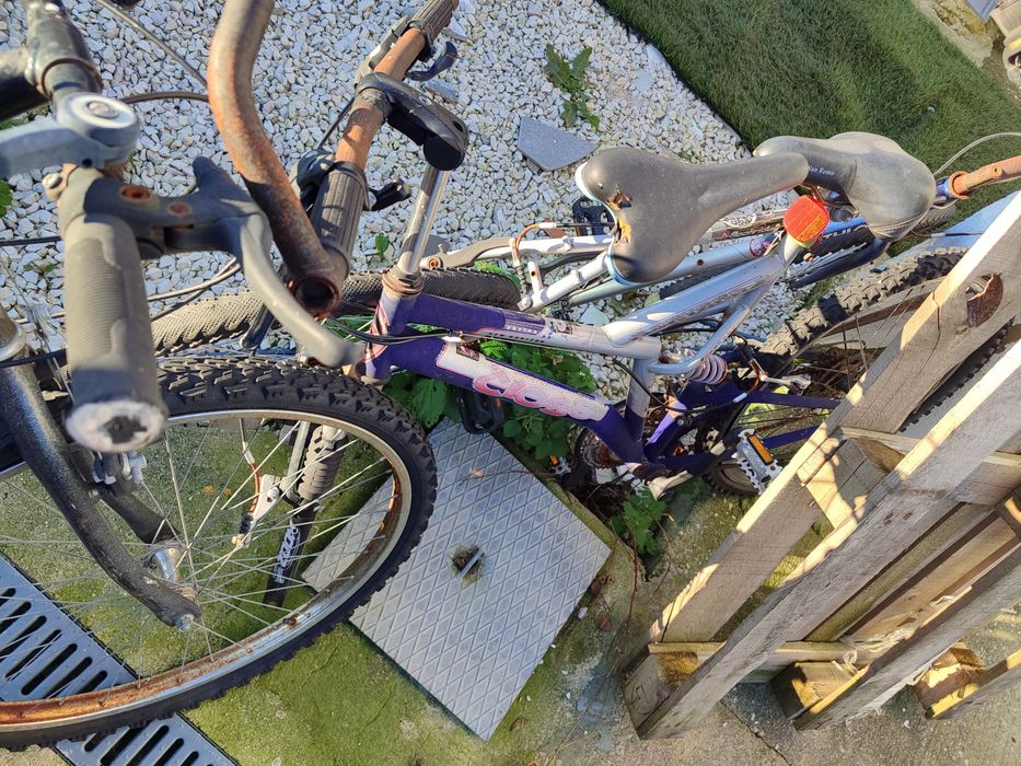 3 bicicletas de cidade