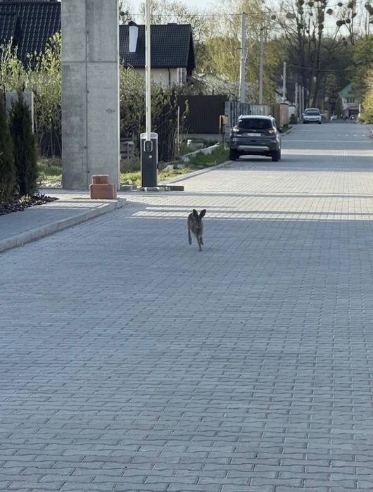 БЕЗ КОМІСІЇ | Продаж 3 кімнатного будинку Конопниця | Продаж котеджу в с. Конопниця