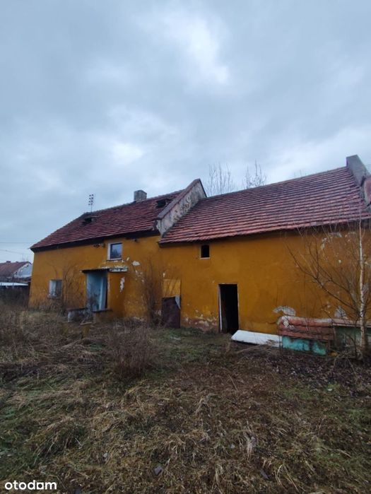 Gola Grodkowska dom do kapitalnego remontu w cenie działki