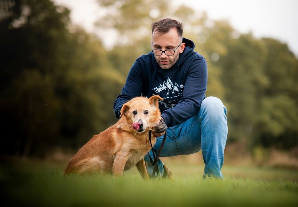 Beżowy puchaty piesek szuka domu