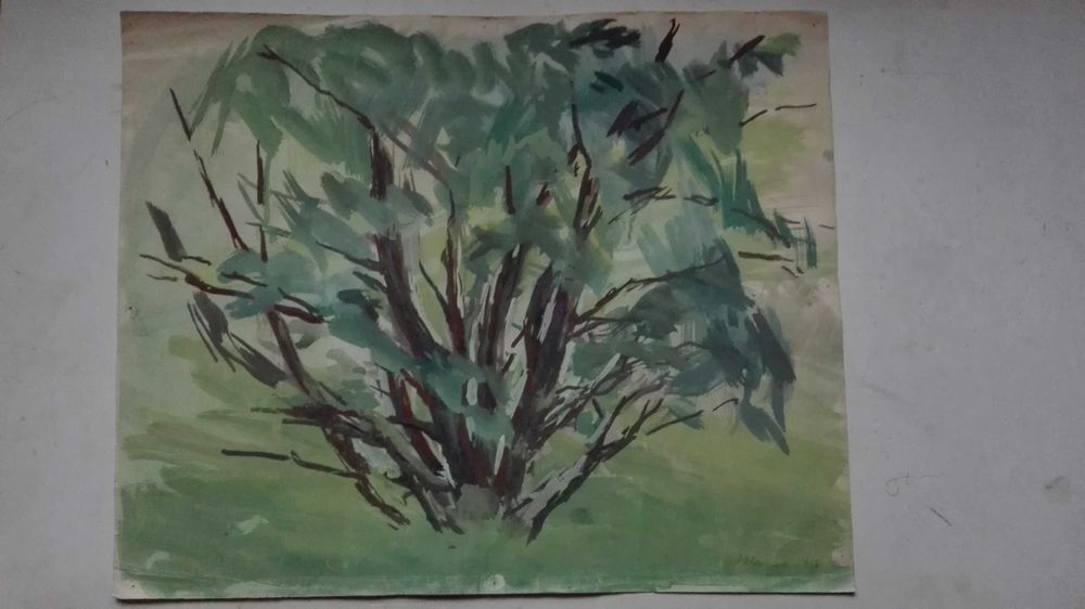 Пейзаж Дерево УССР Художник Екатерина Ивашинина (1908-1993гг.)