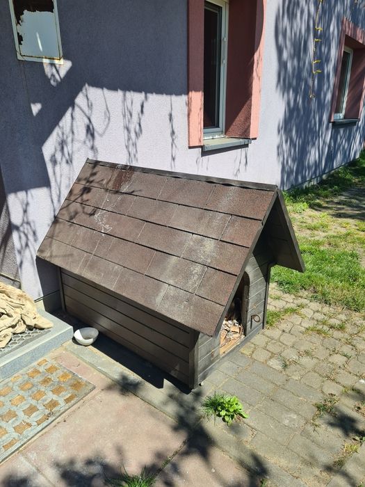 Psia buda duża i solidna