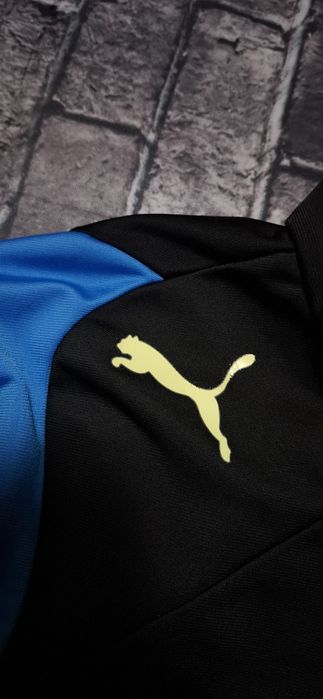 Bluza męska Puma Evo Speed, bez kaptura, na suwak, zip hoodie, sport