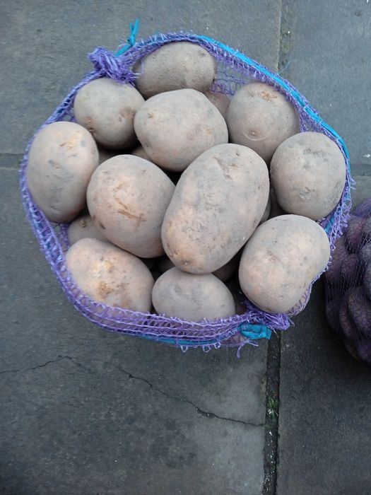 Продам картоплю велику.