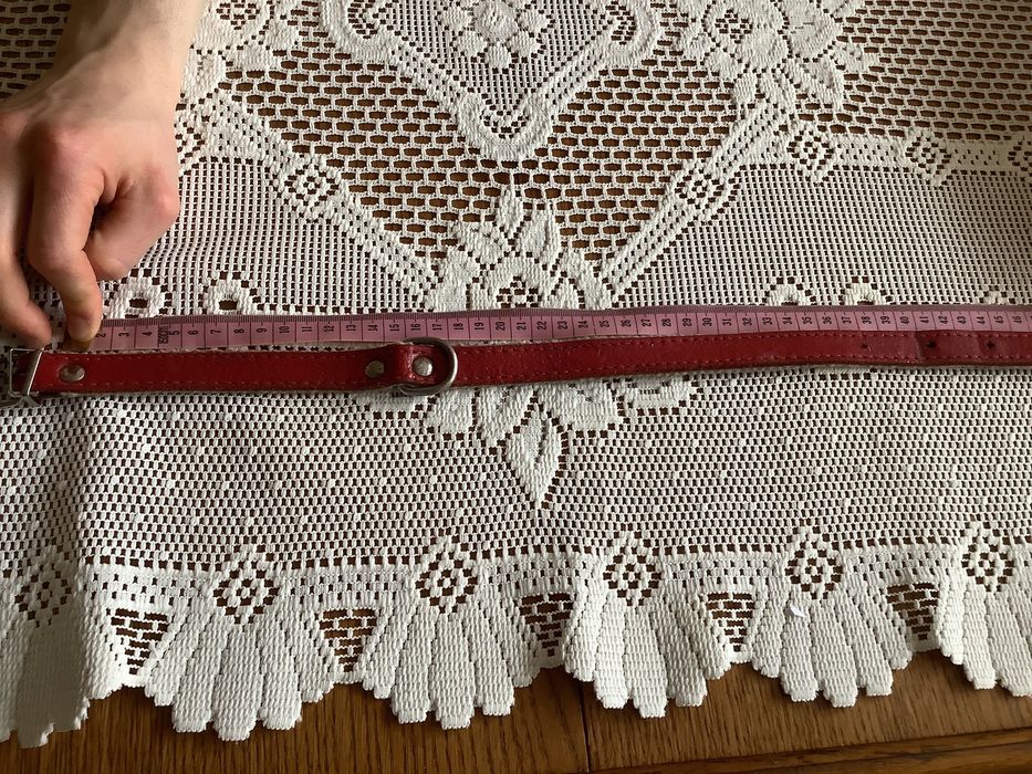 Obroża dla psa używana