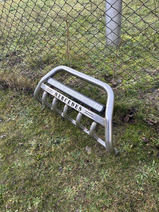 Кінгурятнік на віто 639