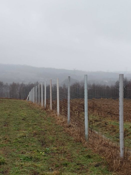 Słupki ogrodzeniowe plastikowe 250cm