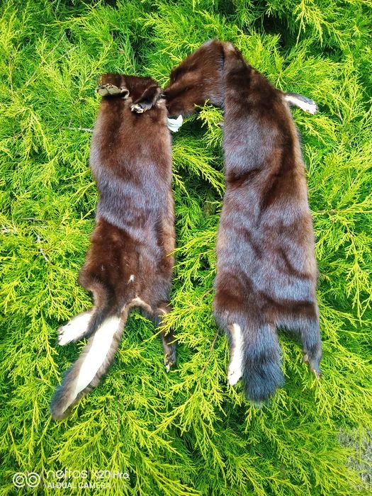 норки чулок  шоколадного цвета отличного качества новые