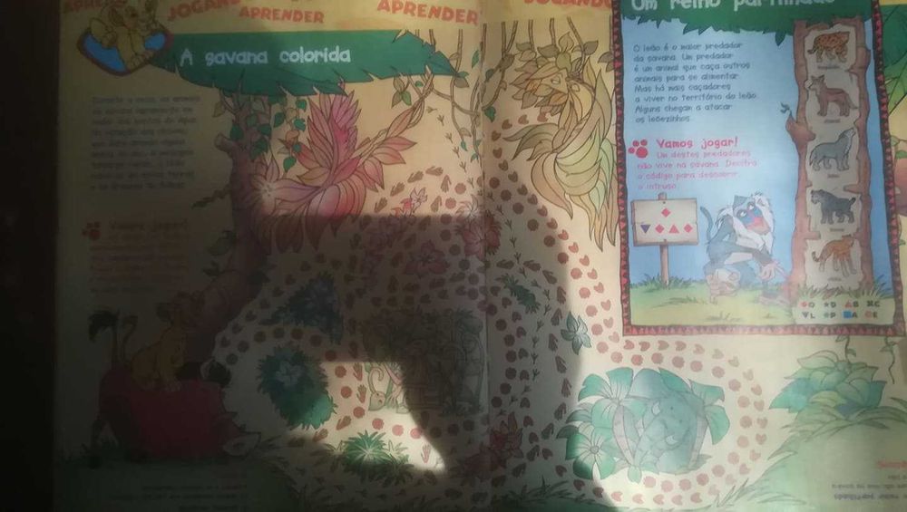 O mundo maravilhosos dos animais - Os Leões