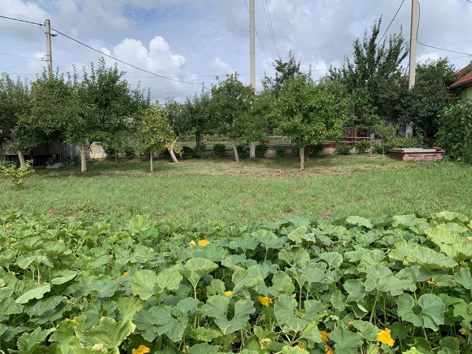 Продам будинок в Гусятині