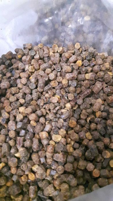 2025 Chleb pszczeli, pierzgaa  Minimum Zamówienie: 10 kg