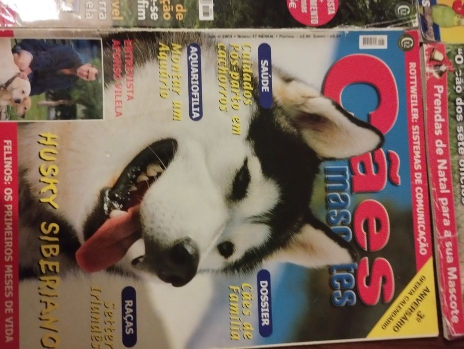 4 Revistas cães e mascotes