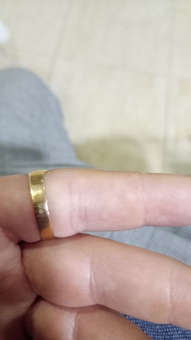 Anel ouro de lei (19.2 K)