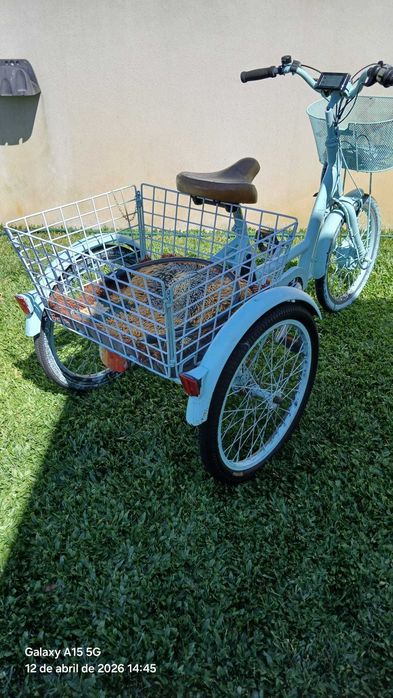 Bicicleta de 3 rodas elétrica/Triciclo elétrico