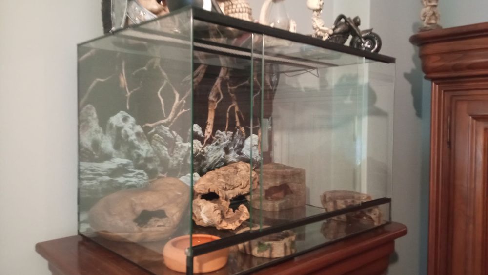 Vendo Terrário para répteis