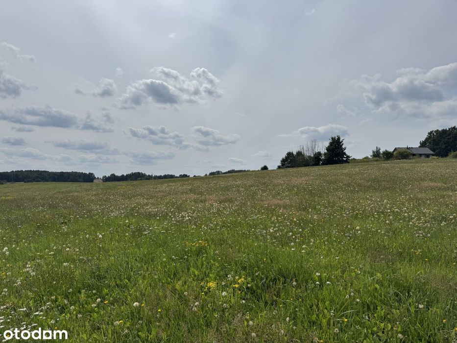 Działka budowlana 3247 m² | Prawomocne WZ | 200 m od Jeziora Dauby