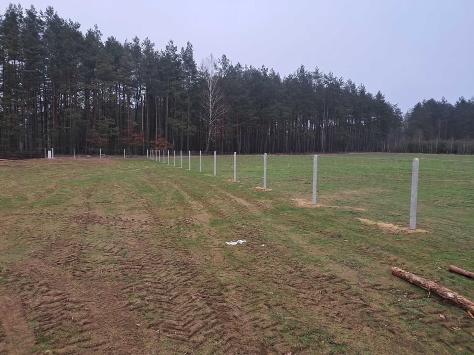 Ogrodzenie z siatki leśnej płot płoty tymczasowe słupki słupek