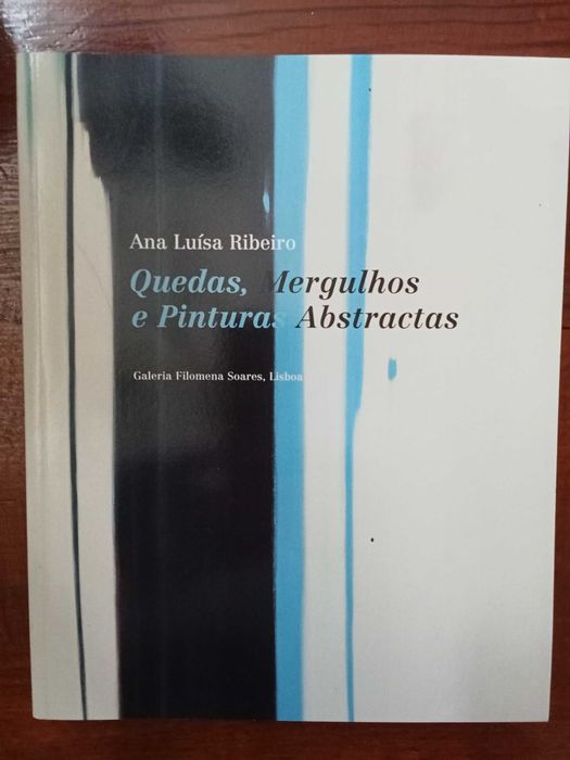 Ana Luísa Ribeiro - Quedas, mergulhos e Pinturas abstractas