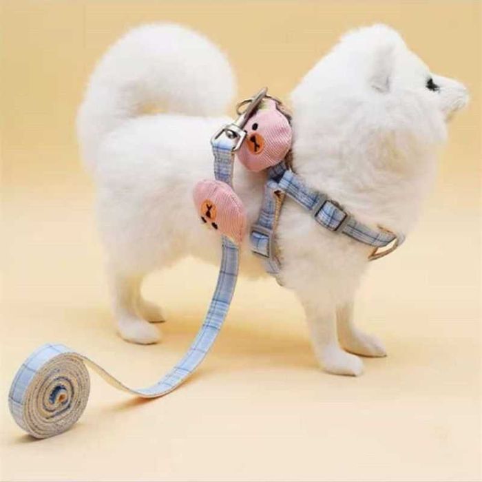 Шлея с поводком, шлейка з повідком для собак