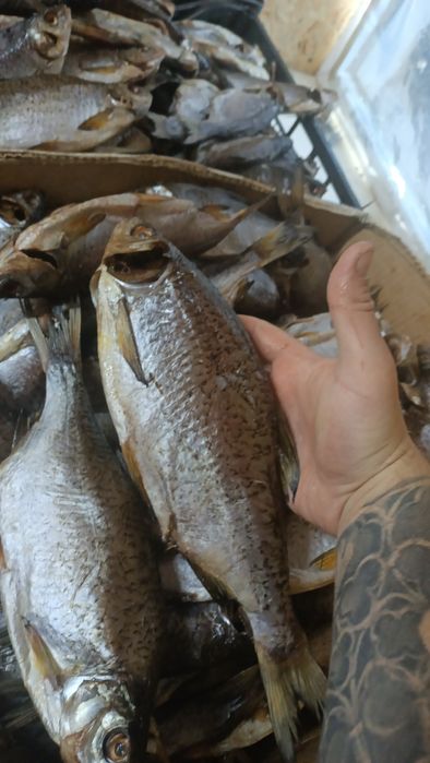 Продам вялену рибу.