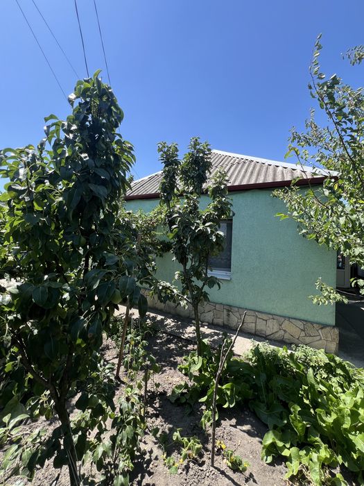 Продам дом в городе