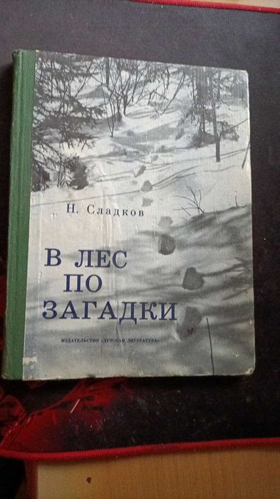 Н. Сладков. В лес по загадки