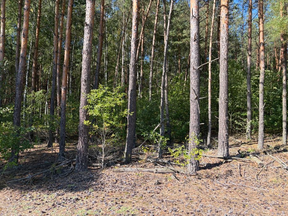 Sprzedam nieruchomość rolną o powierzchni 87 ha
