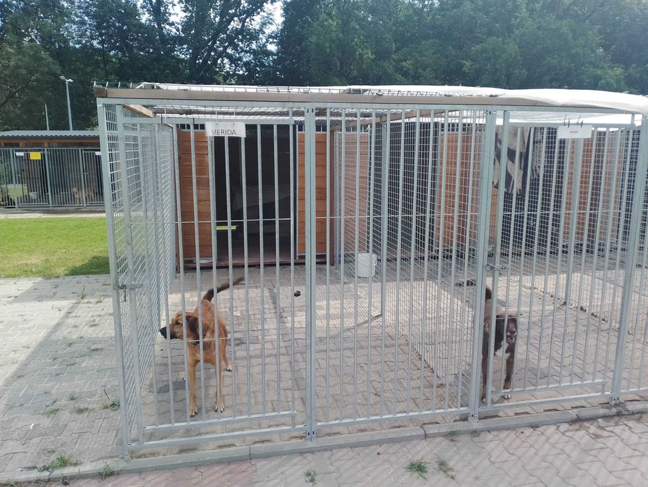 usługi spawalnicze