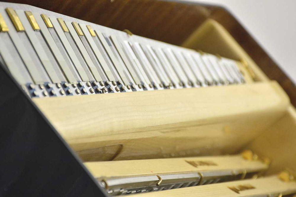 Akordeon Scandalli Conservatorio Extreme Piano Plus konwerter kanałowy