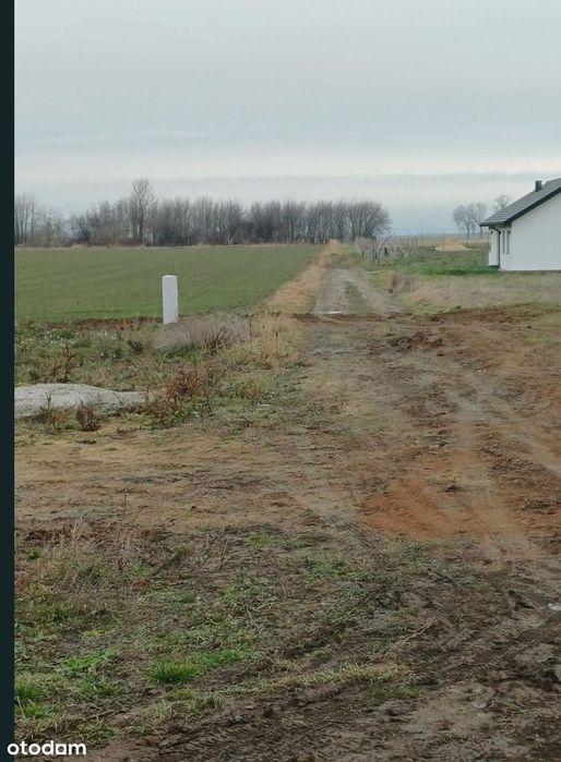Działka, Świebodzice