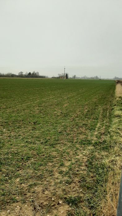 Działki budowlane Podkampinos