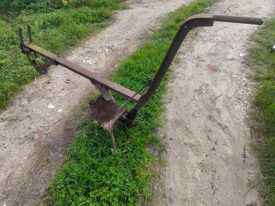 Charrua antiga das vacas