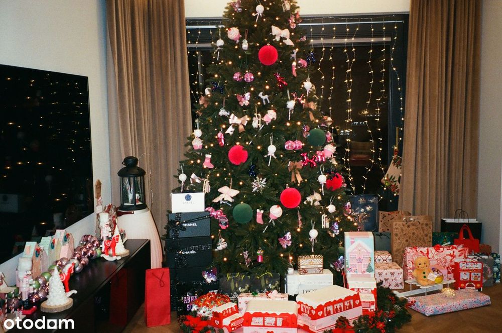 Dom z ogrodem, zaledwie 25 minut od Warszawy – gotowy do zamieszkania