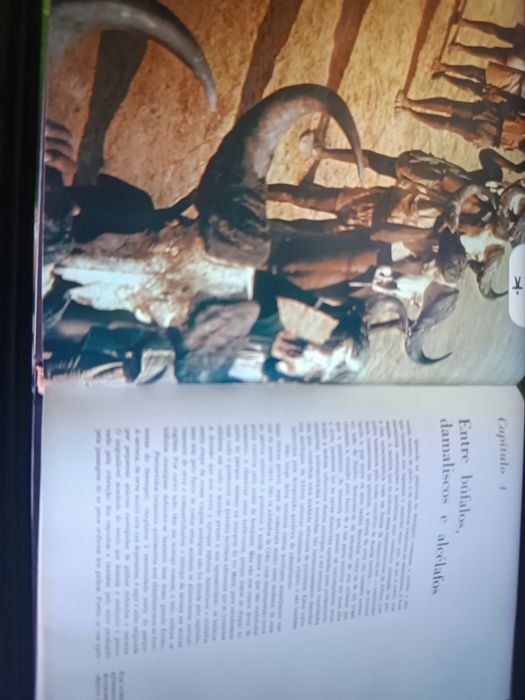 A Fauna coleção completa