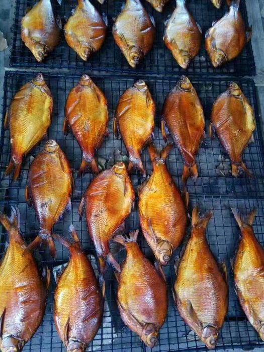 Промислова коптильня холодне / гаряче копчення м'яса, риби, птиці