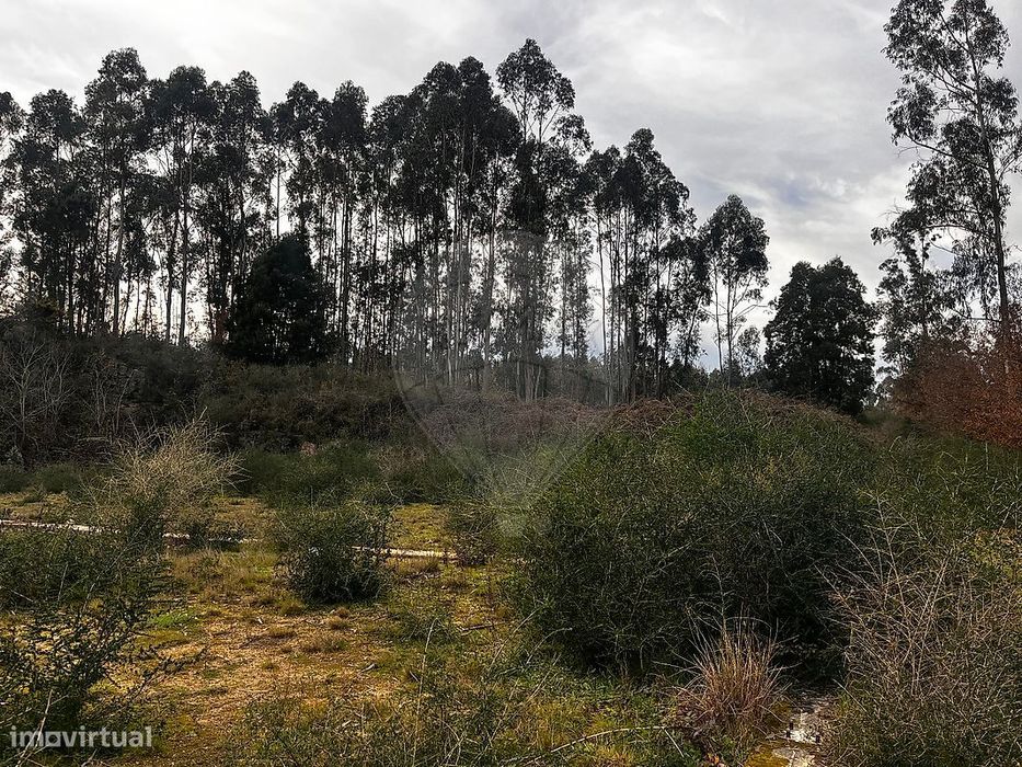 Terreno  para venda