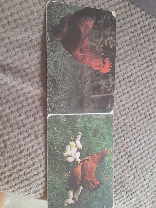 Na podwórzu i na wodzie retro ksiazka