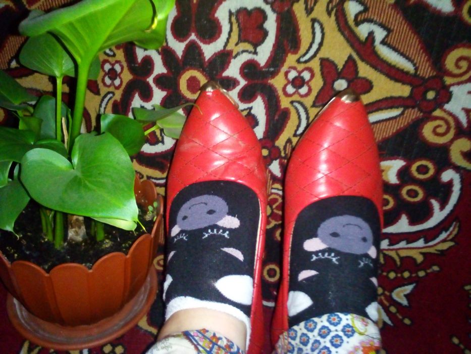 Продам Срочно!!!