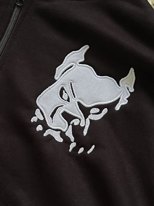 Худі Pit Bull, svastone