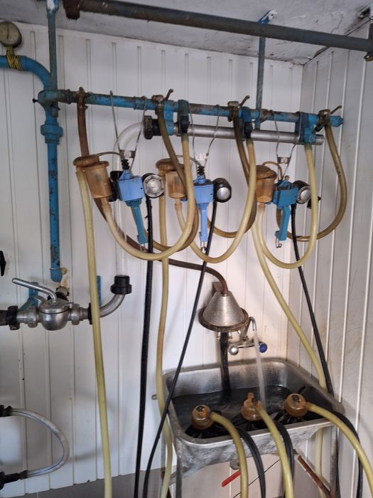 Dojarka przewodową Alfa Laval