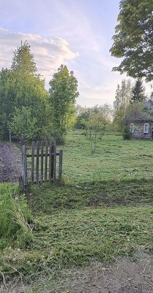 Покіс трави,бурʼяну,вивіз сміття.Послуги садівника.Бучанський район