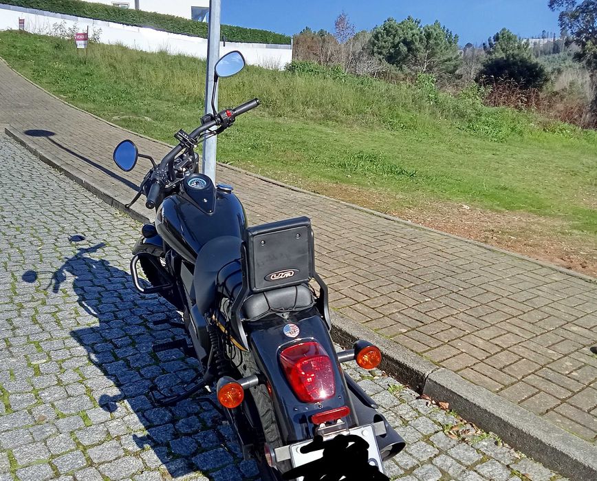 Moto Renagade comand UM