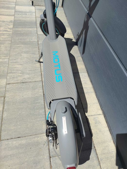 Hulajnoga motus scotty 10 plus